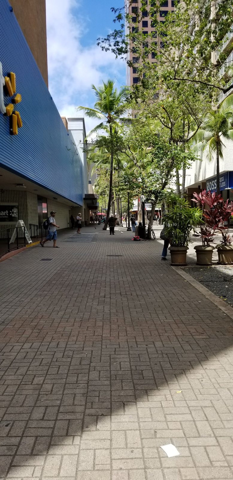 Fort Street Mall's brick pedestrian walkway at the edge of Chinatown, June 2019