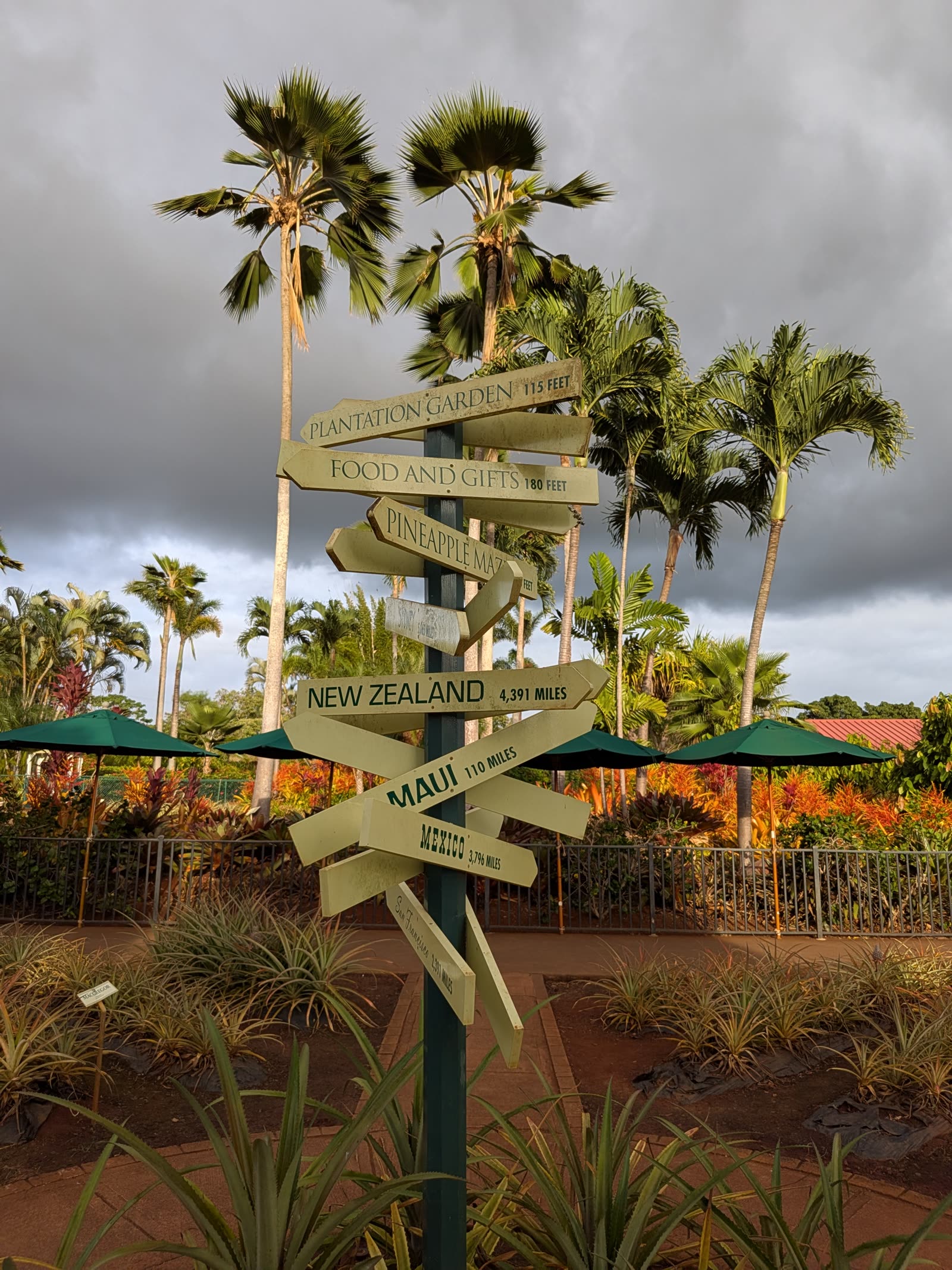 Direction signpost for the Pineapple Maze and Plantation Garden, November 2025