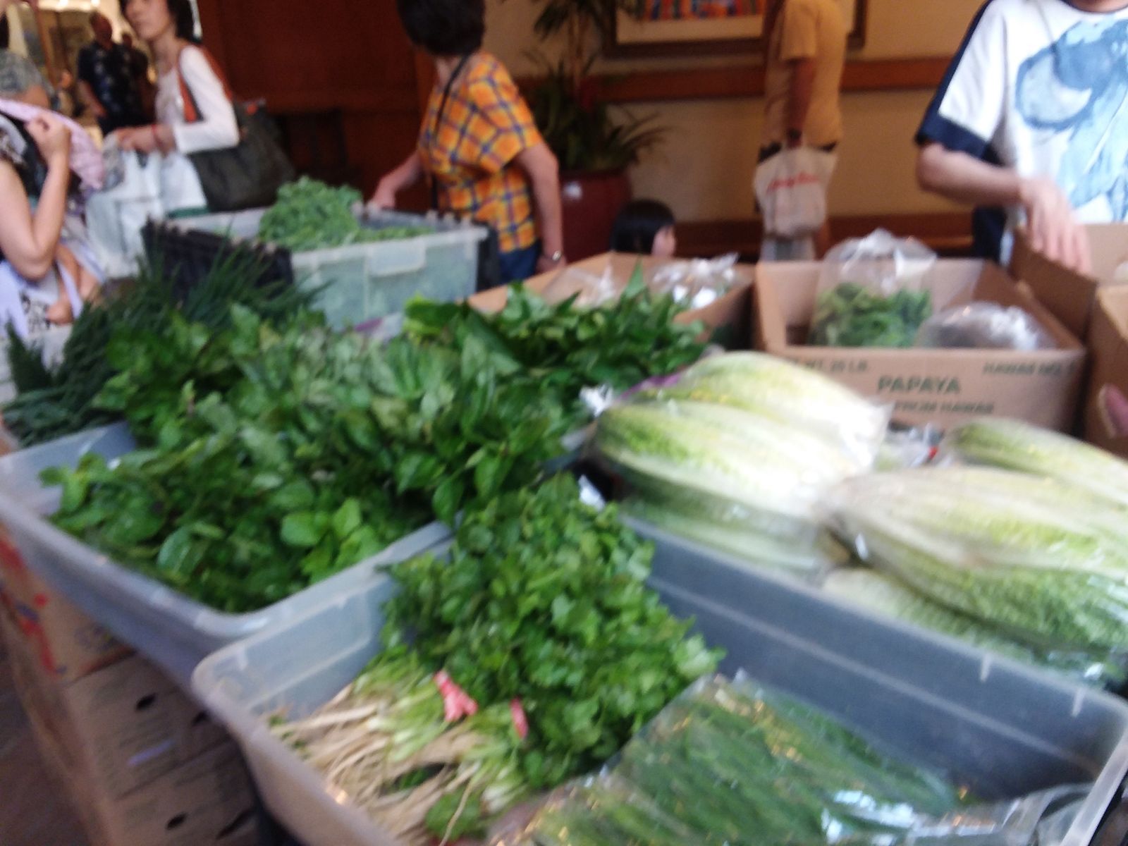 Bins of fresh greens and lettuce at the Waikiki Farmers Market, March 2018