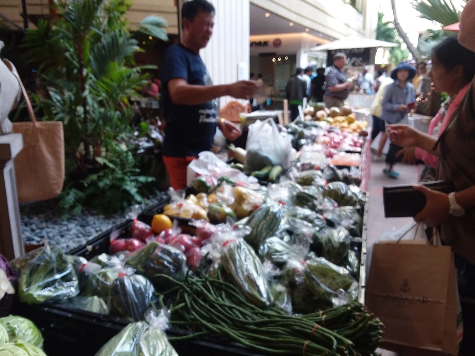 Shoppers at a produce stall at the Waikiki Farmers Market, Hyatt Regency, March 2018
