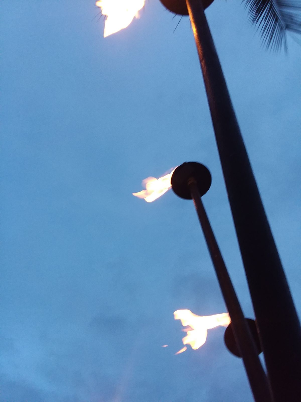 Tiki torches lit against the evening sky at Kuhio Beach Park, March 2018
