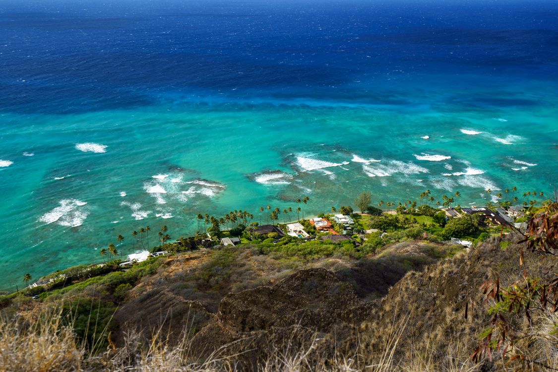 Houses and palm trees along the ocean shore on Oahu's west coast