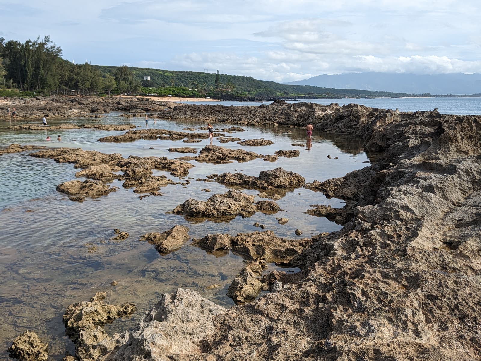 Tide pools at Shark’s Cove seen from the rocks, May 2024