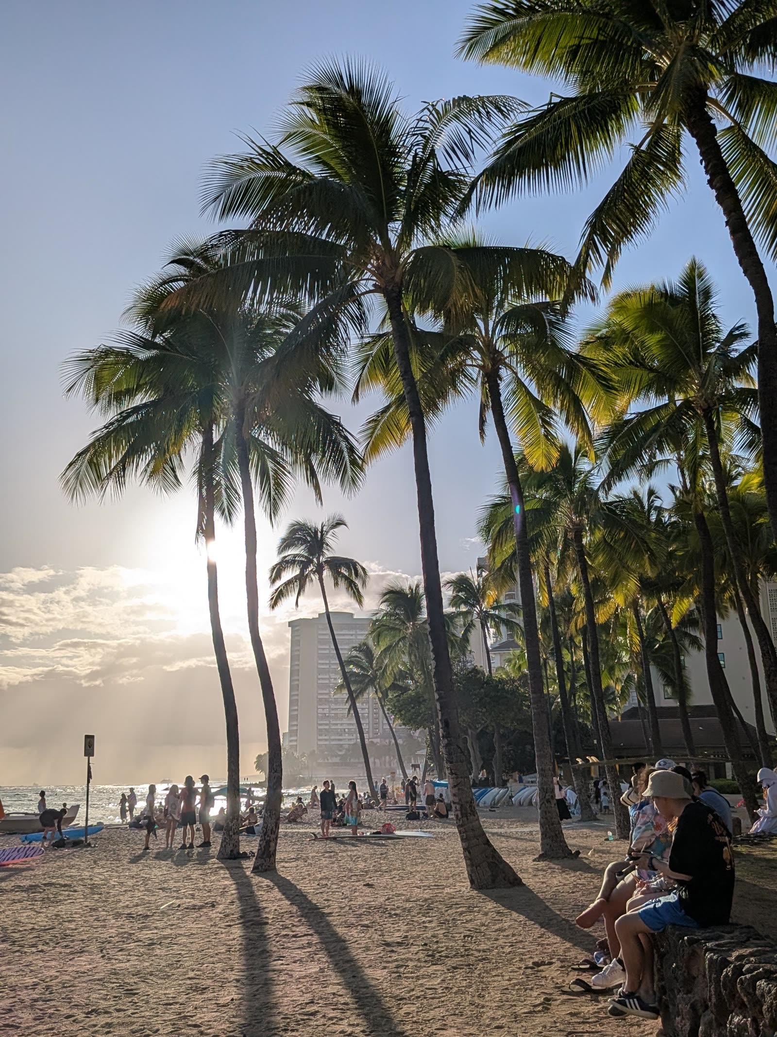 Palms over Waikiki Beach at sunset