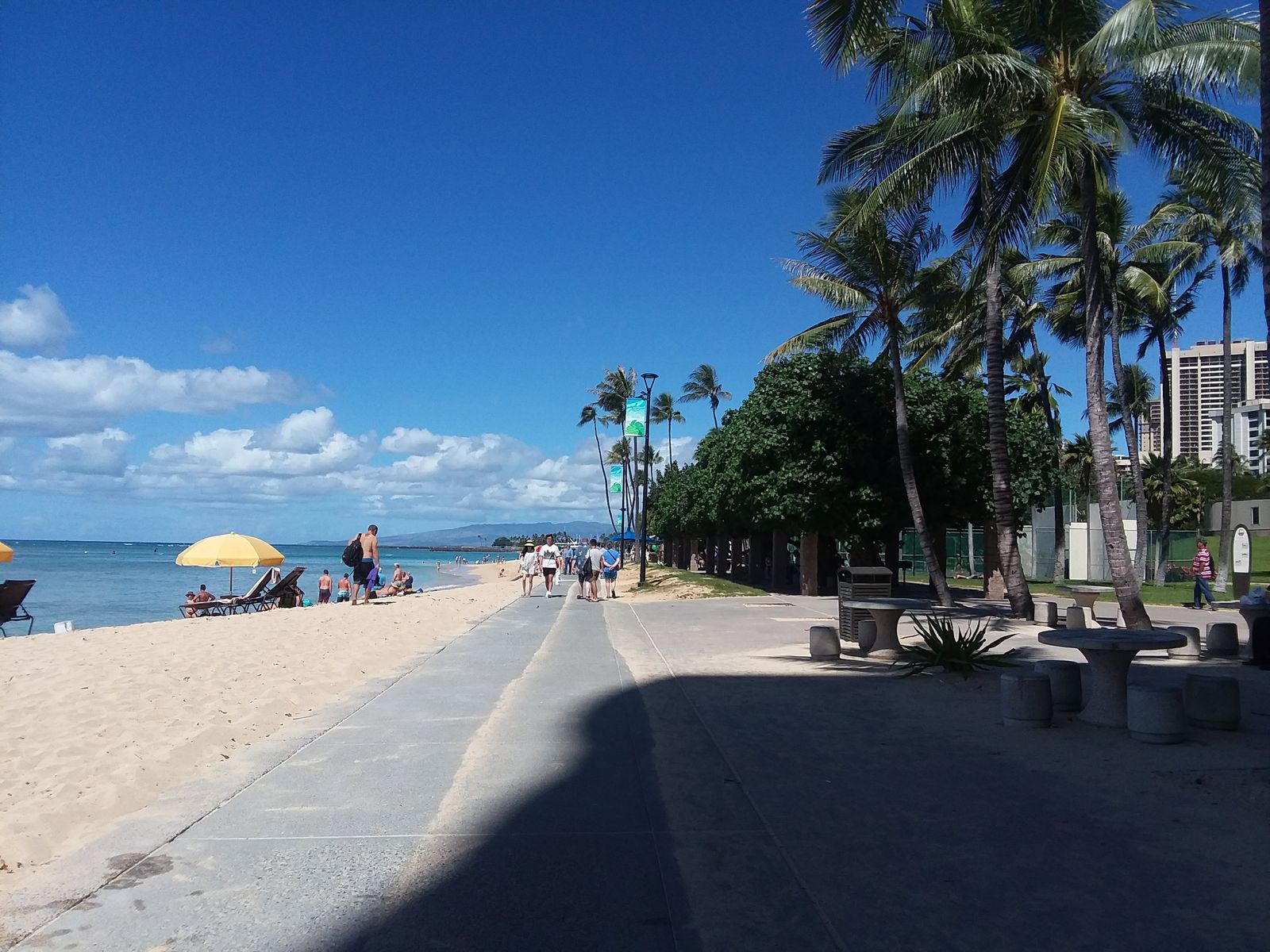 The paved Waikiki beachfront path beside the sand and palms, March 2018