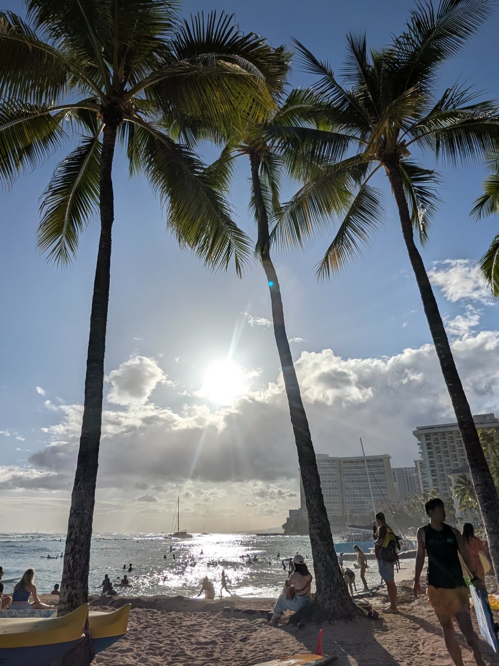 Palm trees silhouetted against a Waikiki sunset, May 2025