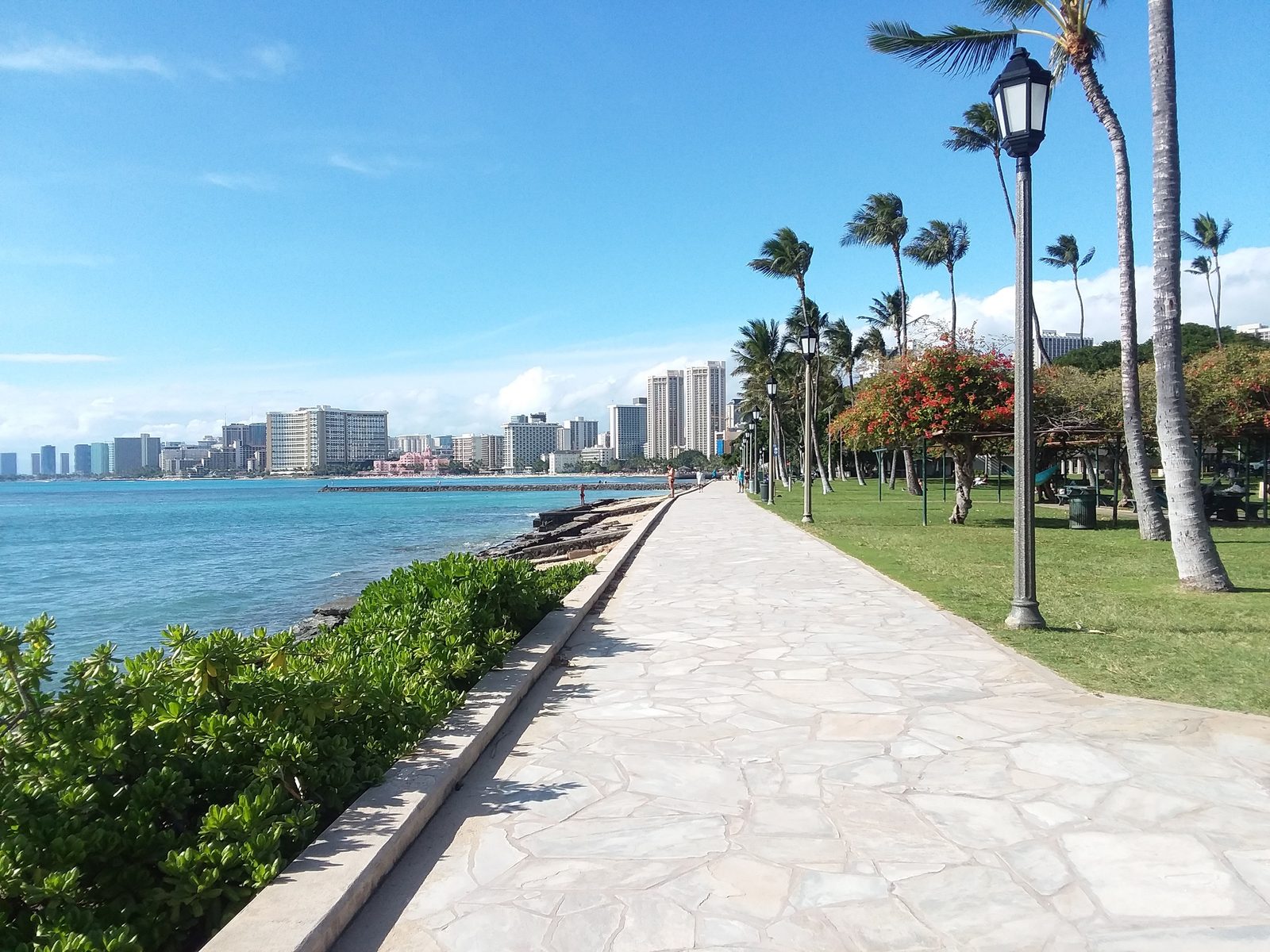 The paved shoreline promenade at Waikiki, palms on one side and the ocean on the other